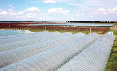 大庆石化高档宽幅棚膜专用树脂新产品成为提质增效新亮点