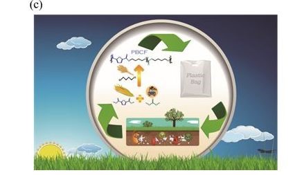西南将建造大型聚乳酸改性新材料及制品生产基地