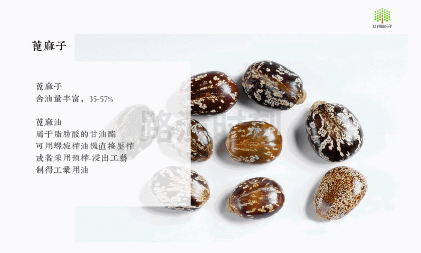 特种高温尼龙市场需求持续攀升，细分赛道国产替代逐步推进