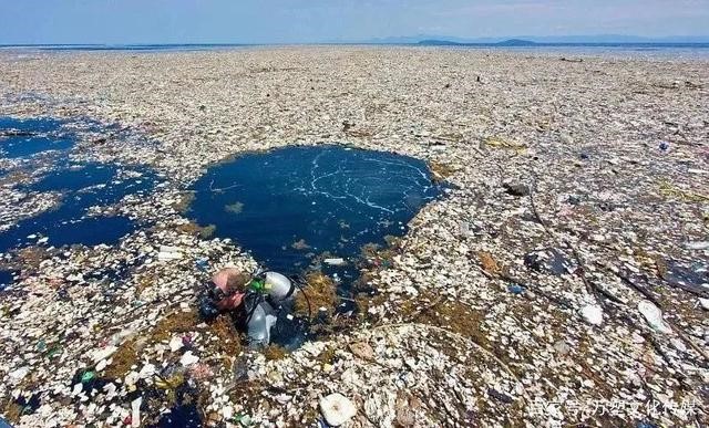 可降解PLA口罩和包装成热门