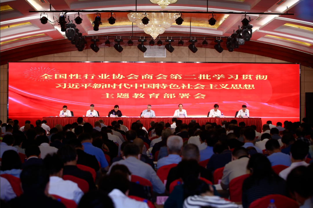 中央社会工作部召开全国性行业协会商会第二批学习贯彻习近平 新时代中国特色社会主义思想主题教育总结会